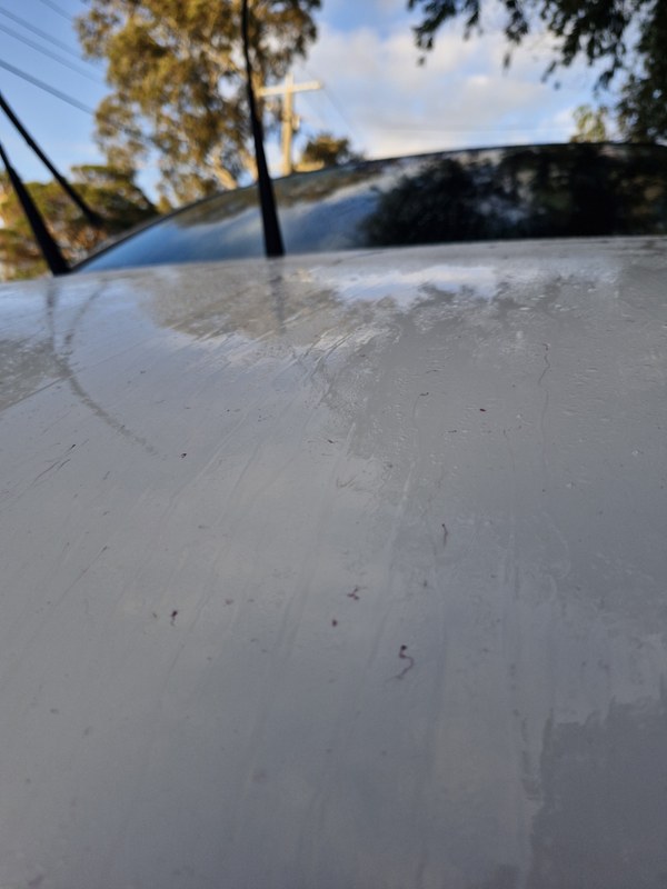 Iron fallout lifting from the paint during decontamination